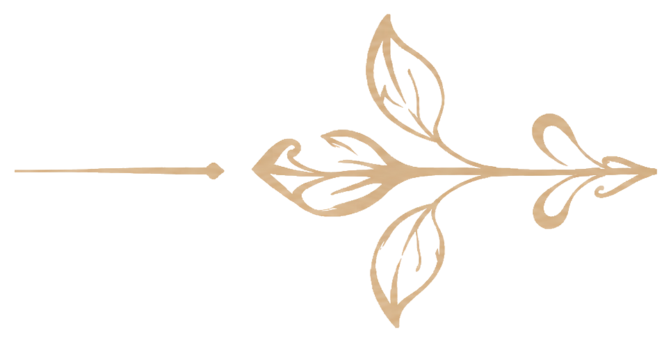 Qasa Title Ornament Left Transparent