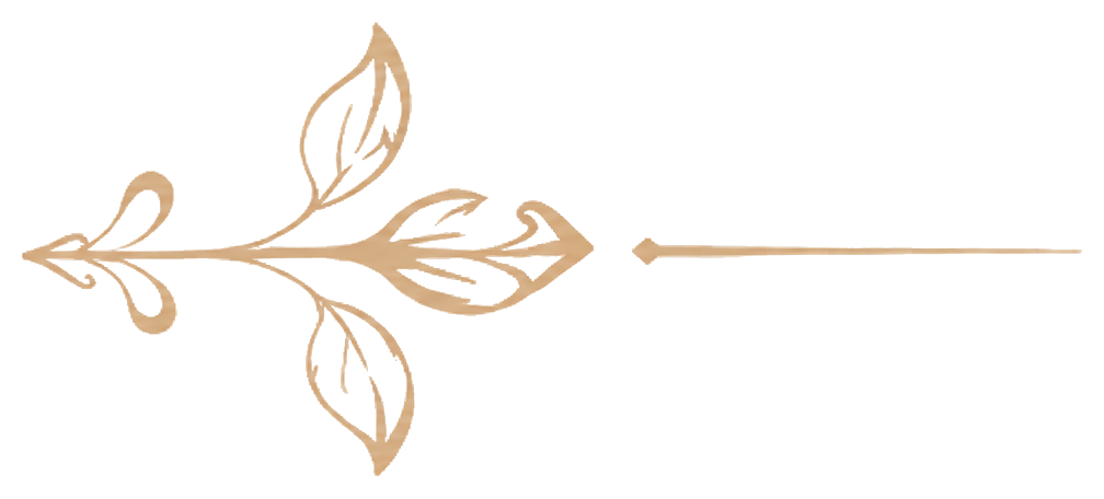 Qasa Title Ornament Right Transparent